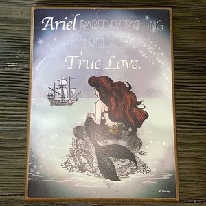 Disney Wall decor art - Ariel